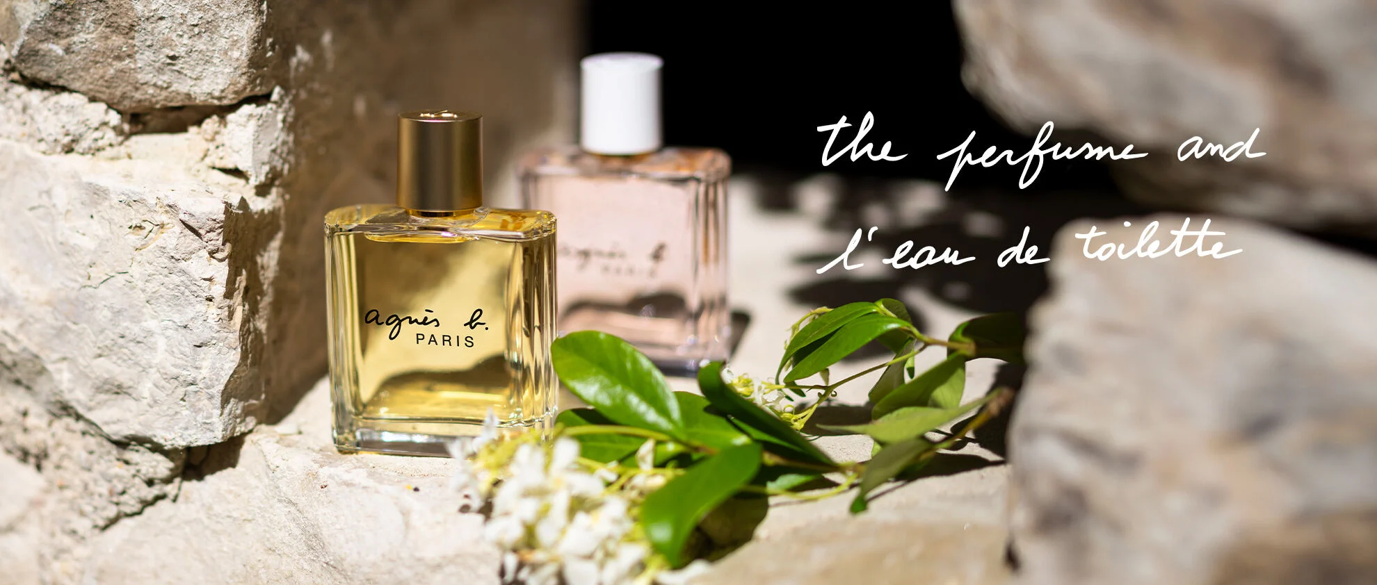 the perfume and l'eau de toilette
