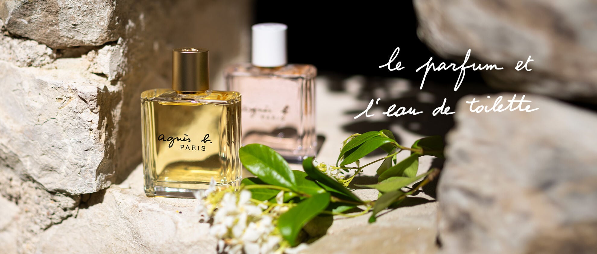 le parfum et l'eau de toilette
