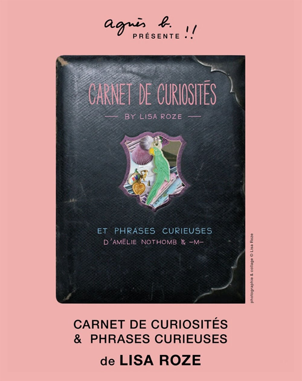 Lisa Roze, "Carnet de curiosit&eacute;s & phrases curieuses"