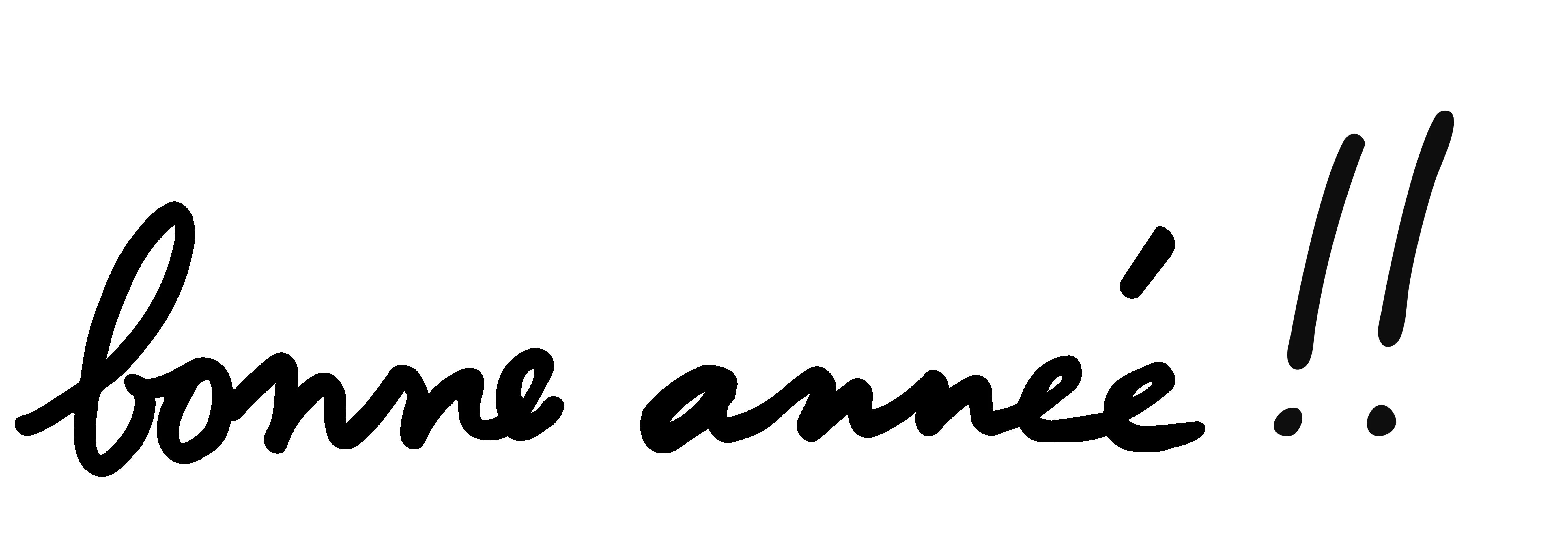 bonne ann&eacute;e !!