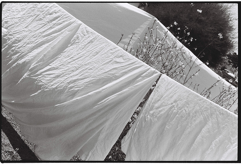 Coton et lumi&egrave;re