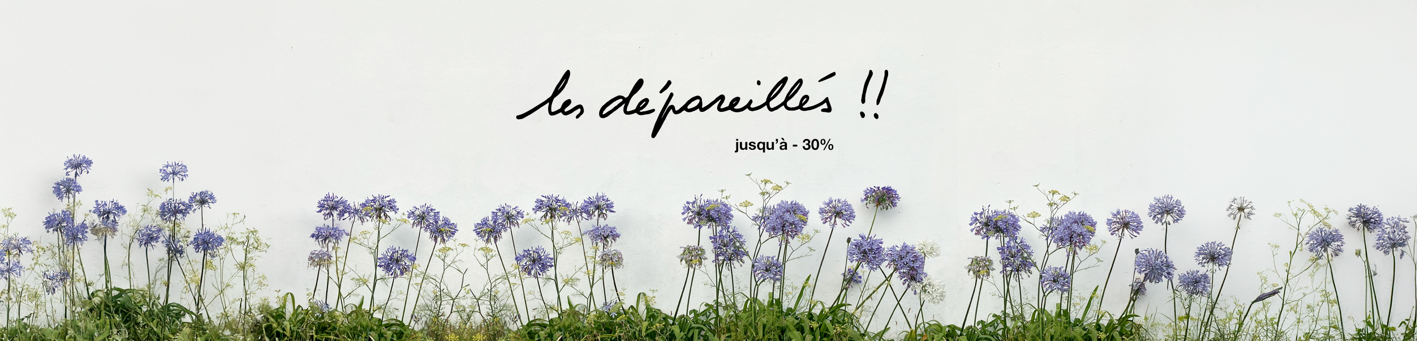 banner-image